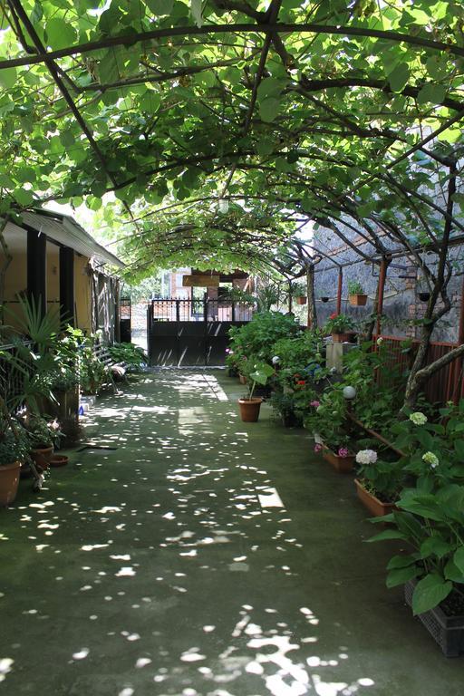 מלון לאגודחי The Kiwi House מראה חיצוני תמונה
